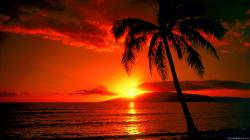 Tropical Beach Paradise Sunset Hd Cool 7 HD Wallpapers