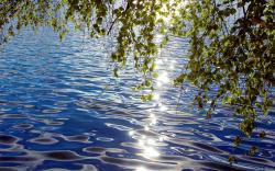 Sunshine water reflection
