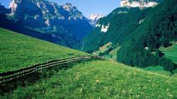 Hd Wonderful Swiss Alps Meadow Wallpaper Download Free