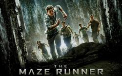 Went to see the Maze Runner last night. Yet another Dystopian YA book adaptation. I know people love The Hunger Games and Divergent books but I thought the ...