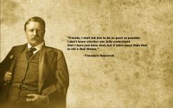 quotes presidents theodore roosevelt