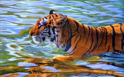 Tiger in water 1
