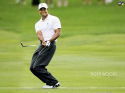 Tiger Woods (8)