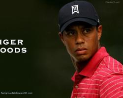 tiger woods wallpapers golf 1280x1024 300x240 tiger woods wallpapers golf 1280x1024