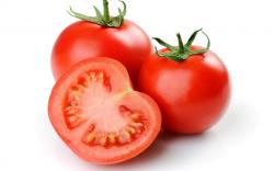 Tomato Crop in Pakistan