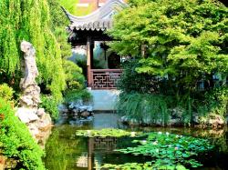 The Garden features more than 300 plant species and cultivars found in traditional Chinese gardens.