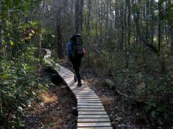 The trail section stretches from the ferry landing at Minnesott Beach to Mill Creek in the Croatan National Forest.