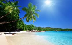 Sunny Tropical Beach
