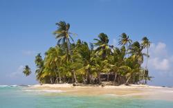 Tropical Palm Island