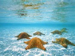 Underwater - underwater-photography Wallpaper