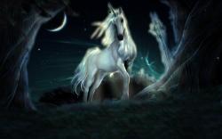 HD Wallpaper | Background ID:288281. 1440x900 Fantasy Unicorn