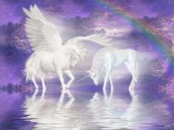Unicorns Unicorn and Pegasus Wallpaper