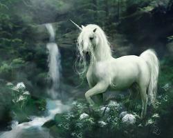 Magical animals Unicorns Fantasy