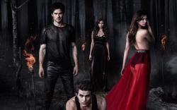 The Vampire Diaries Season 5 2013