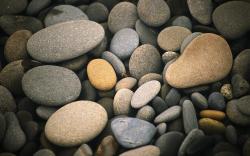 Various Pebbles Wallpaper