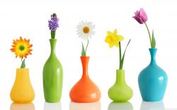 There are generally four types of vases. These are traditional ones, cylindrical, flat and bottle pots.