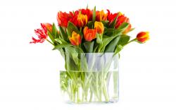 how to care in flowers in vase glass