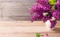 Vase lilac flowers