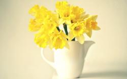 Vase Narcissus Yellow Flowers