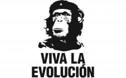 Viva La Evolution