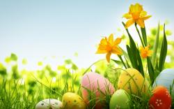 colorful-easter-eggs-holiday-hd-wallpaper-1920x1200-10811_DNcIFEF