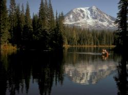 Located in southwest Washington State, the Gifford Pinchot National Forest encompasses 1,312,000 acres and includes the 110,000-acre Mount St. Helens ...