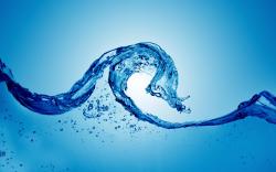 Nearly everyone has heard that the body is approximately 70% water. Yet, very few people then make the connection that the preferred beverage we should ...