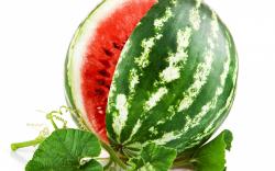 Watermelon; Watermelon; Watermelon; Watermelon Wallpapers; Watermelon Wallpapers; Watermelon Wallpapers