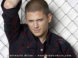 ... wentworth-miller-hd-wallpapers ...