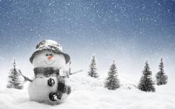 Snowman looking for winter HQ WALLPAPER - (#161288)
