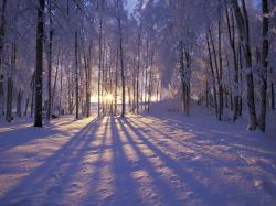 Winter Scenery Facebook Cover Photos