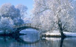 Photography - Winter Landscape Pond Water Bridge Tree Reflection Snow Wallpaper