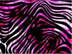 Neon Rainbow Zebra Print Wallpaper Viewing Gallery Xpx 1600x1200px