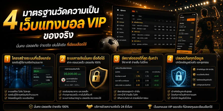 มาตรฐานเว็บแทงบอล VIP