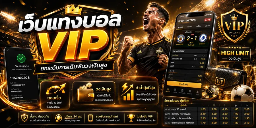 เว็บแทงบอล VIP